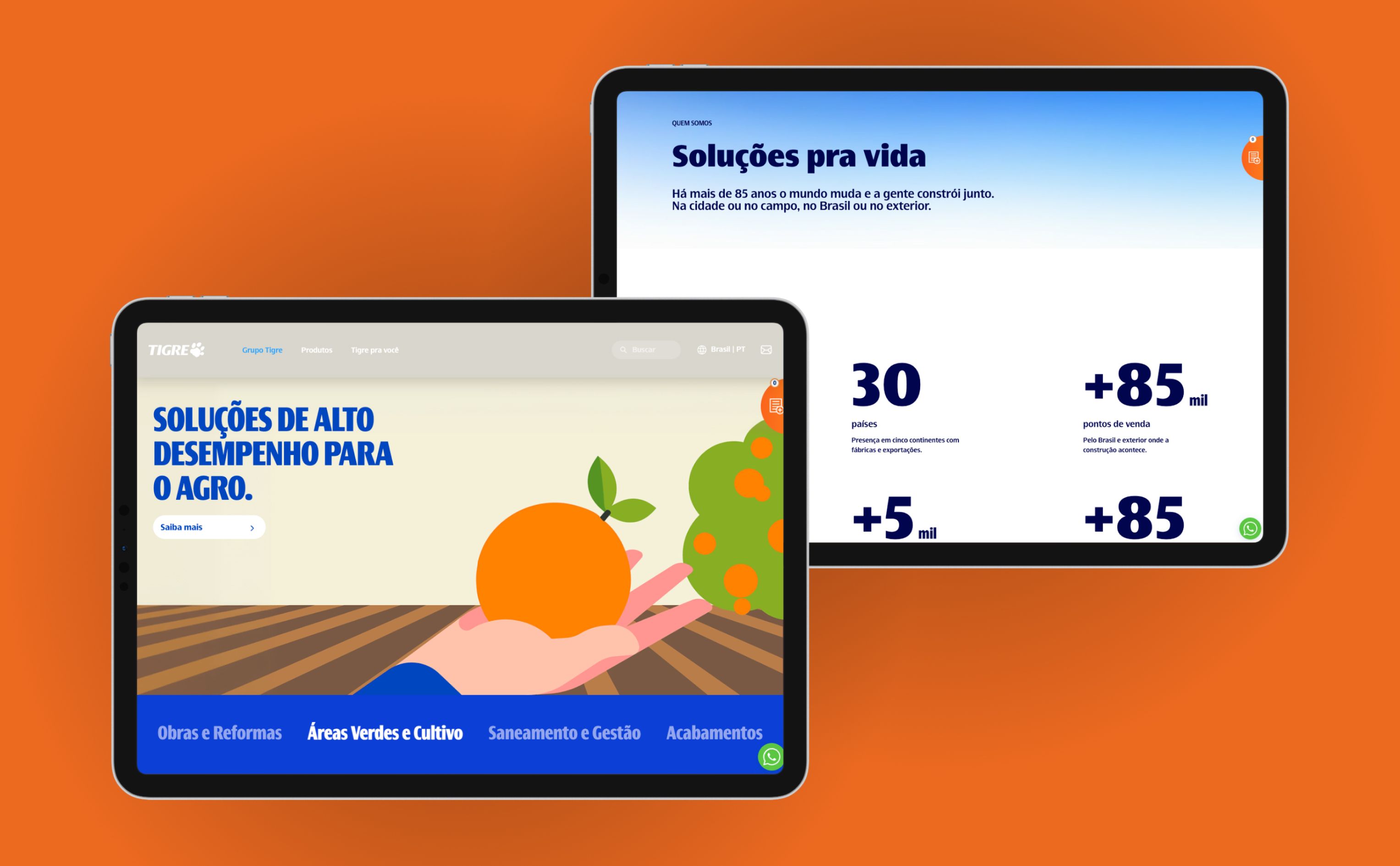 Case: Site Institucional Grupo Tigre