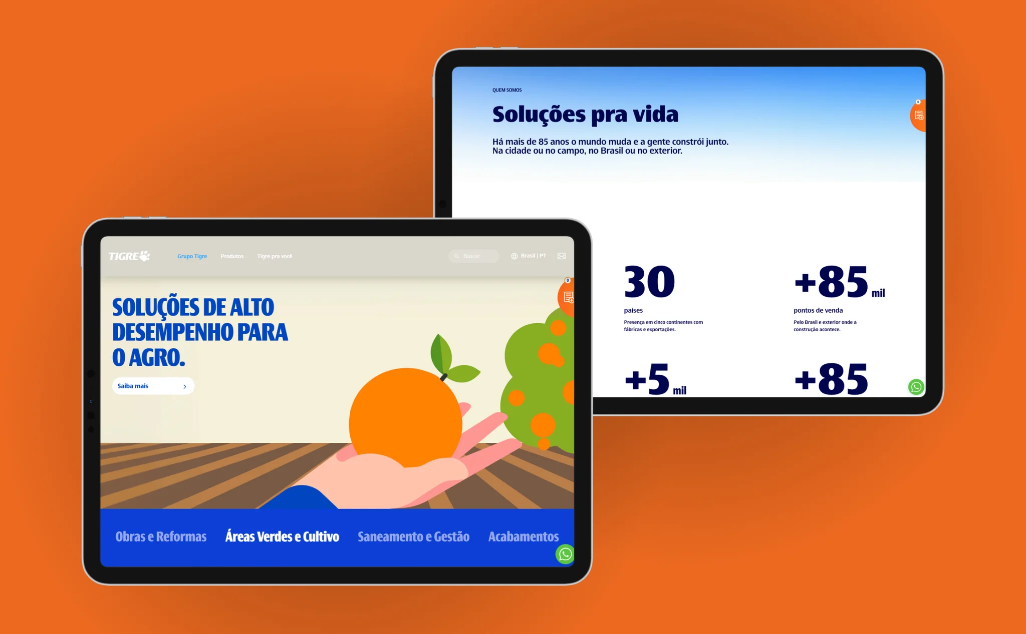 Case: Site Institucional Grupo Tigre
