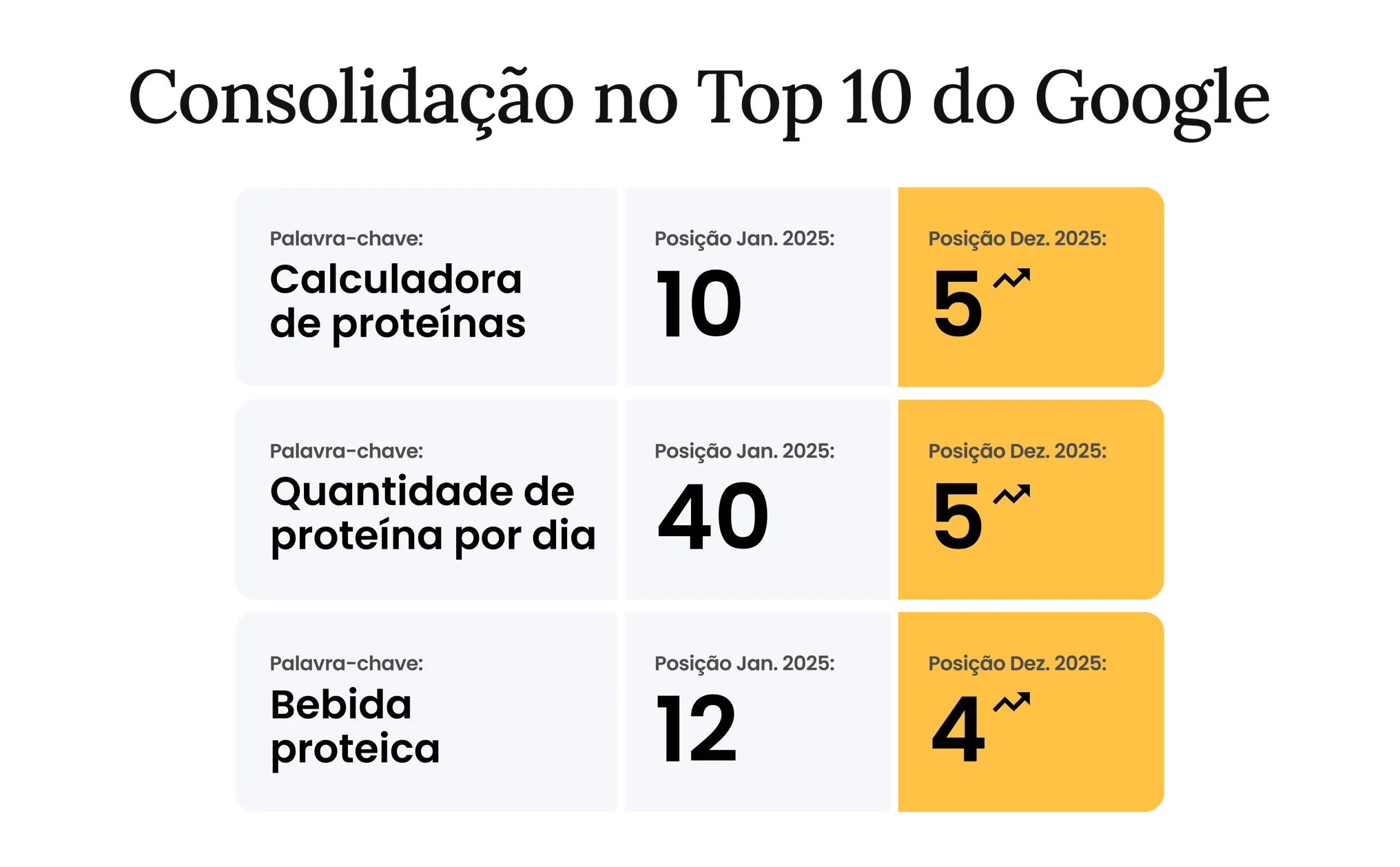 Case: Piracanjuba ProForce - Consolidação no Top 10 do Google