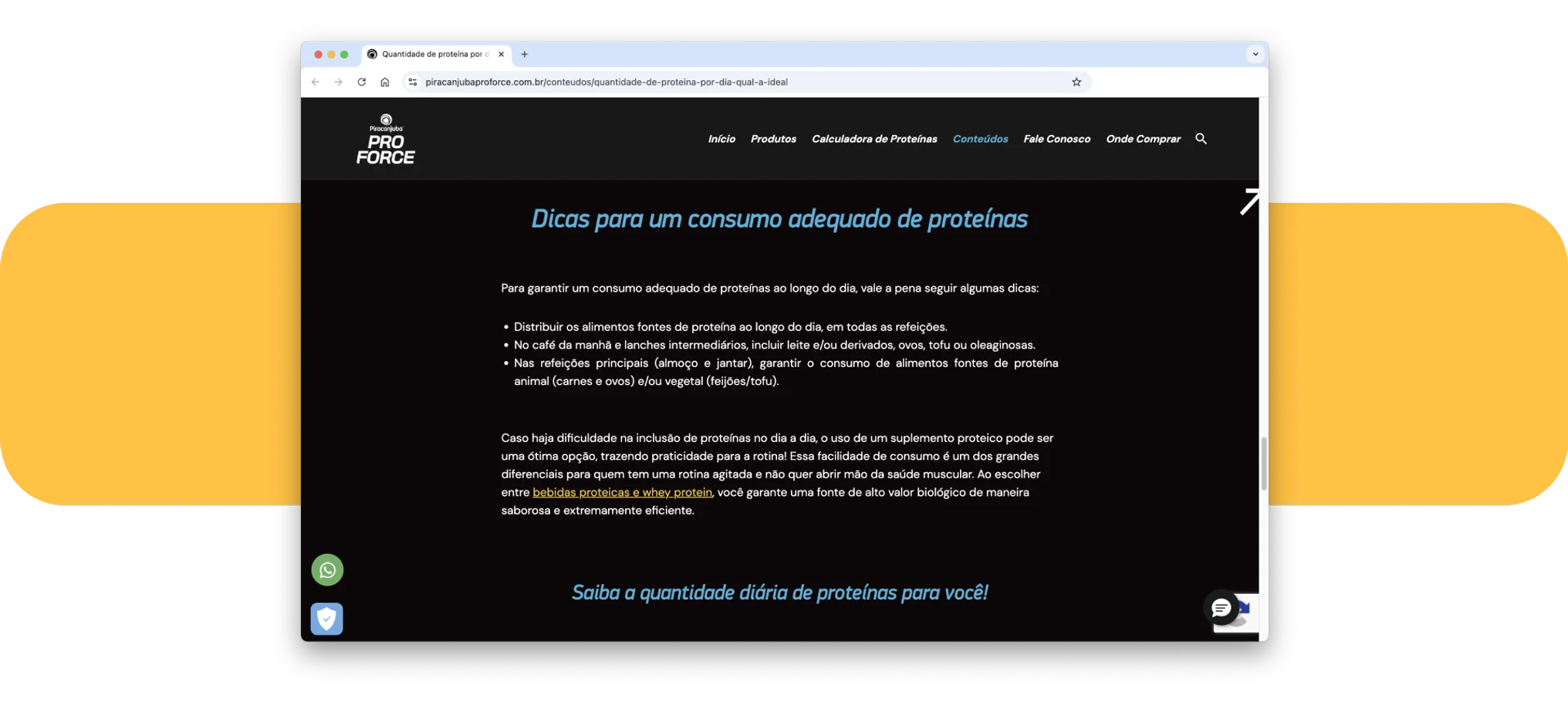 Insights: SEO para IA 5