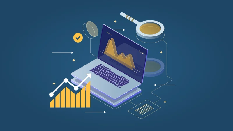 Insights: Performance Digital 1
