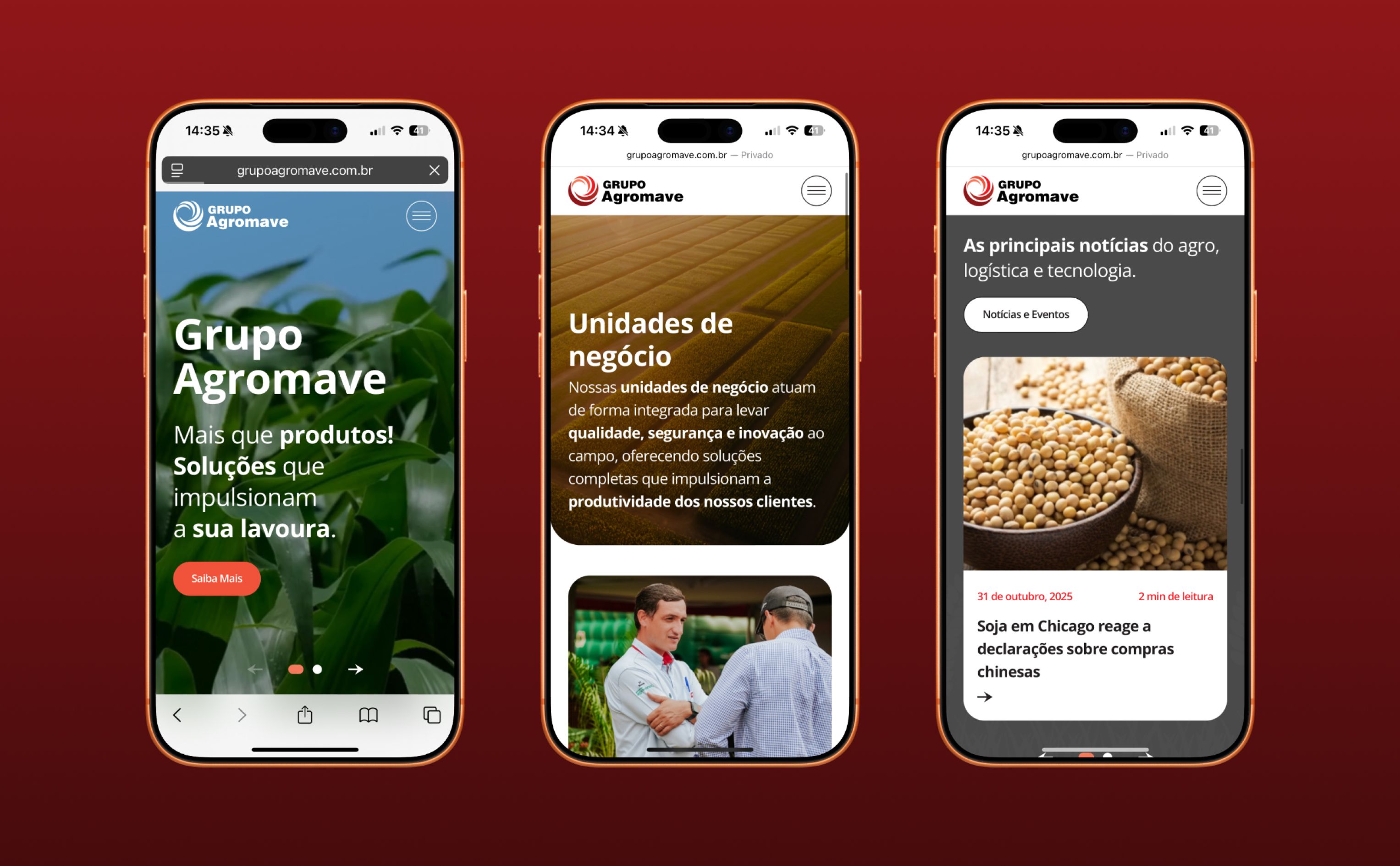 Case: Grupo Agromave - Site Institucional