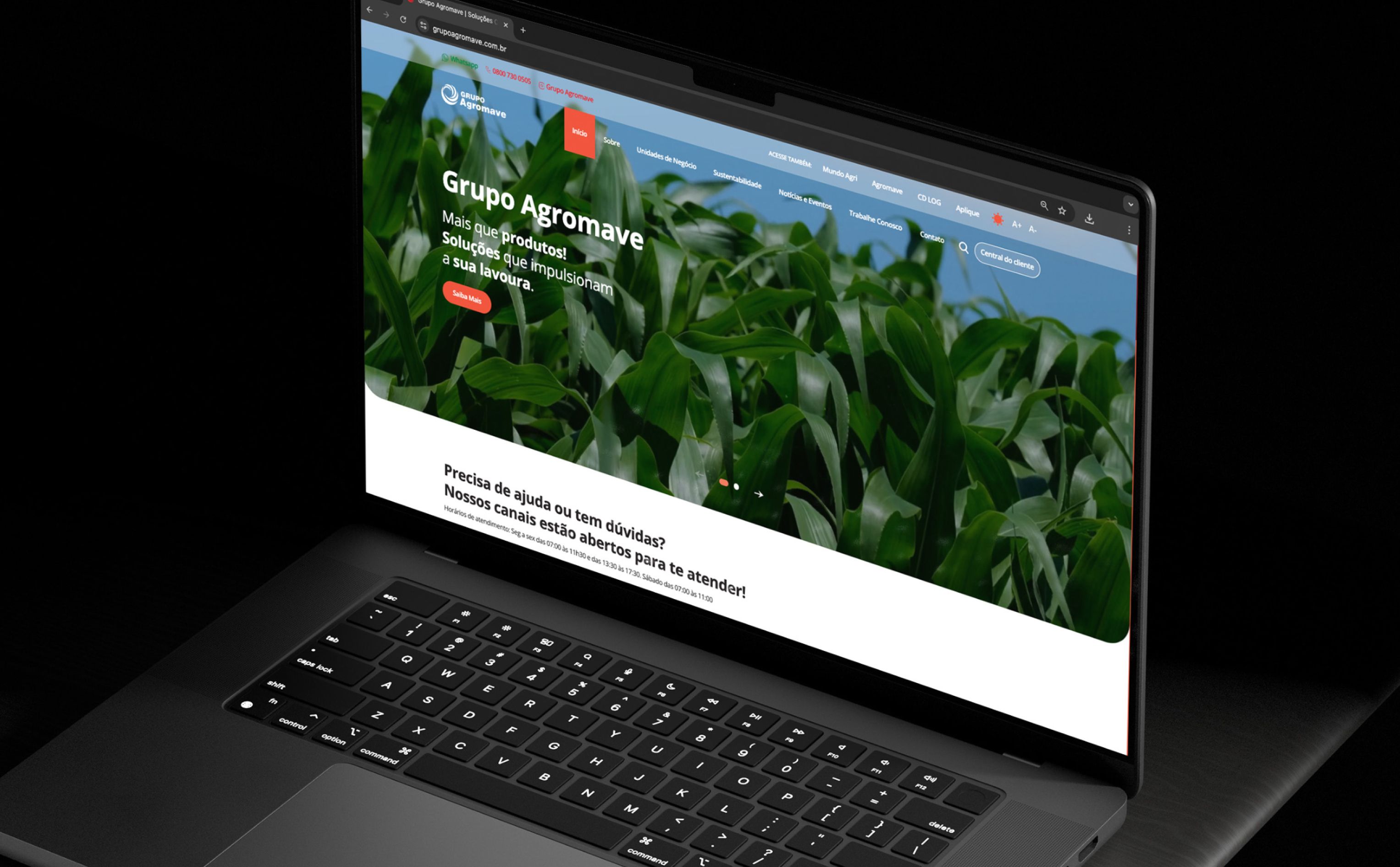 Case: Grupo Agromave - Site Institucional