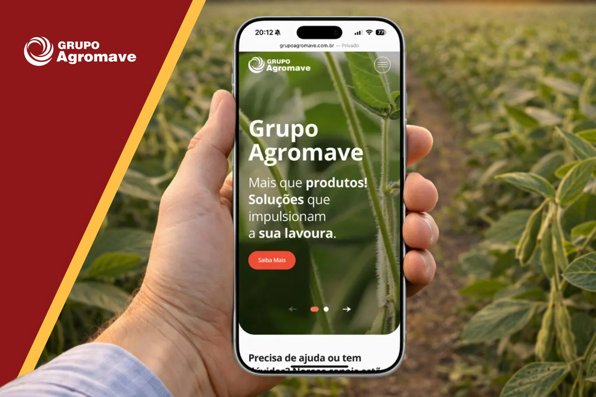 Case: Grupo Agromave - Site Institucional