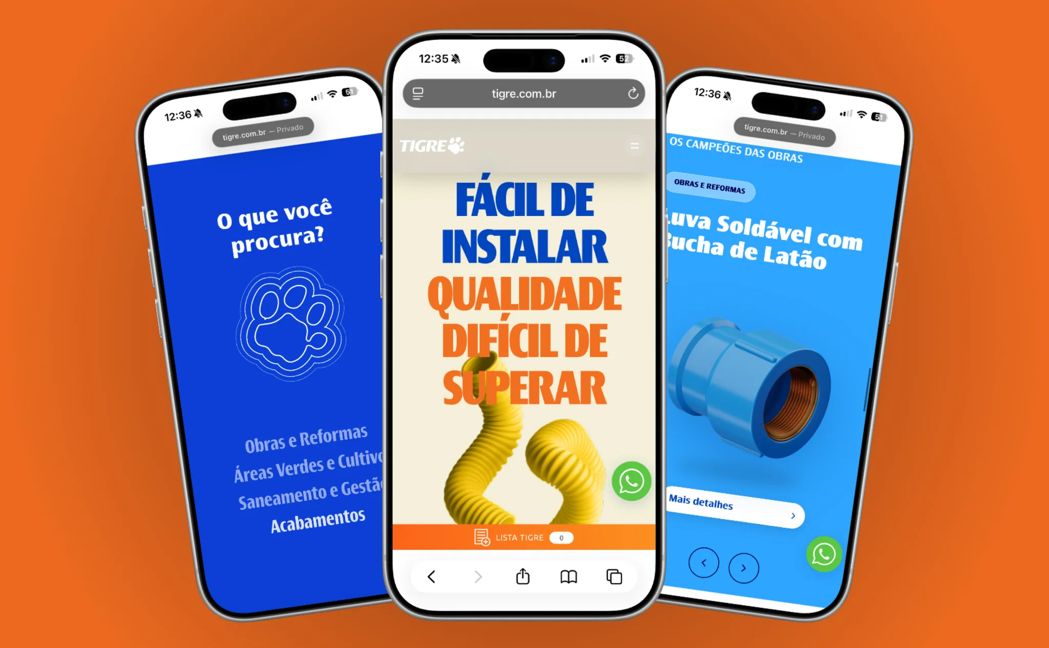 Case: Site Institucional Grupo Tigre
