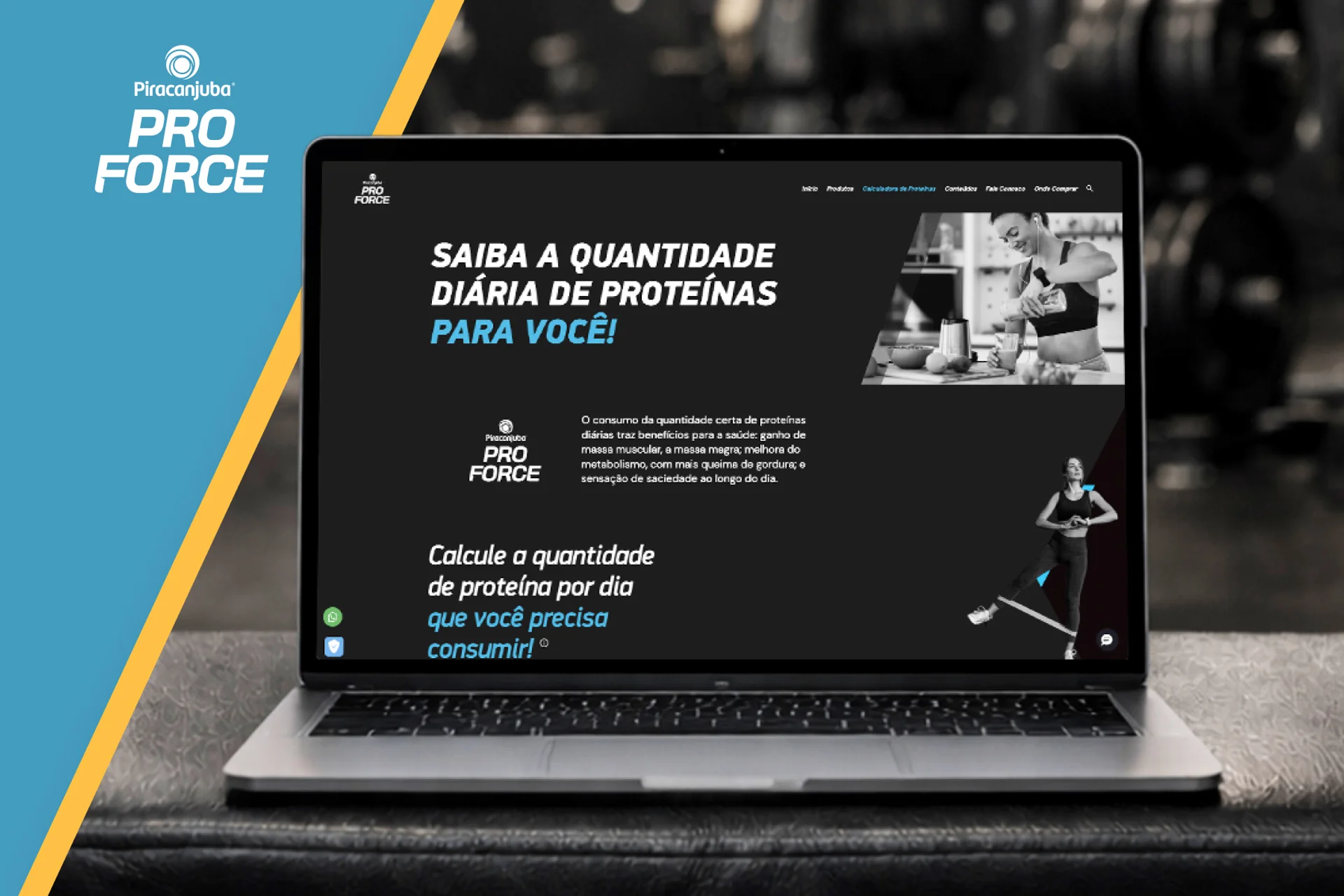 Case: Piracanjuba ProForce - Conteúdo Estratégico para SEO 1